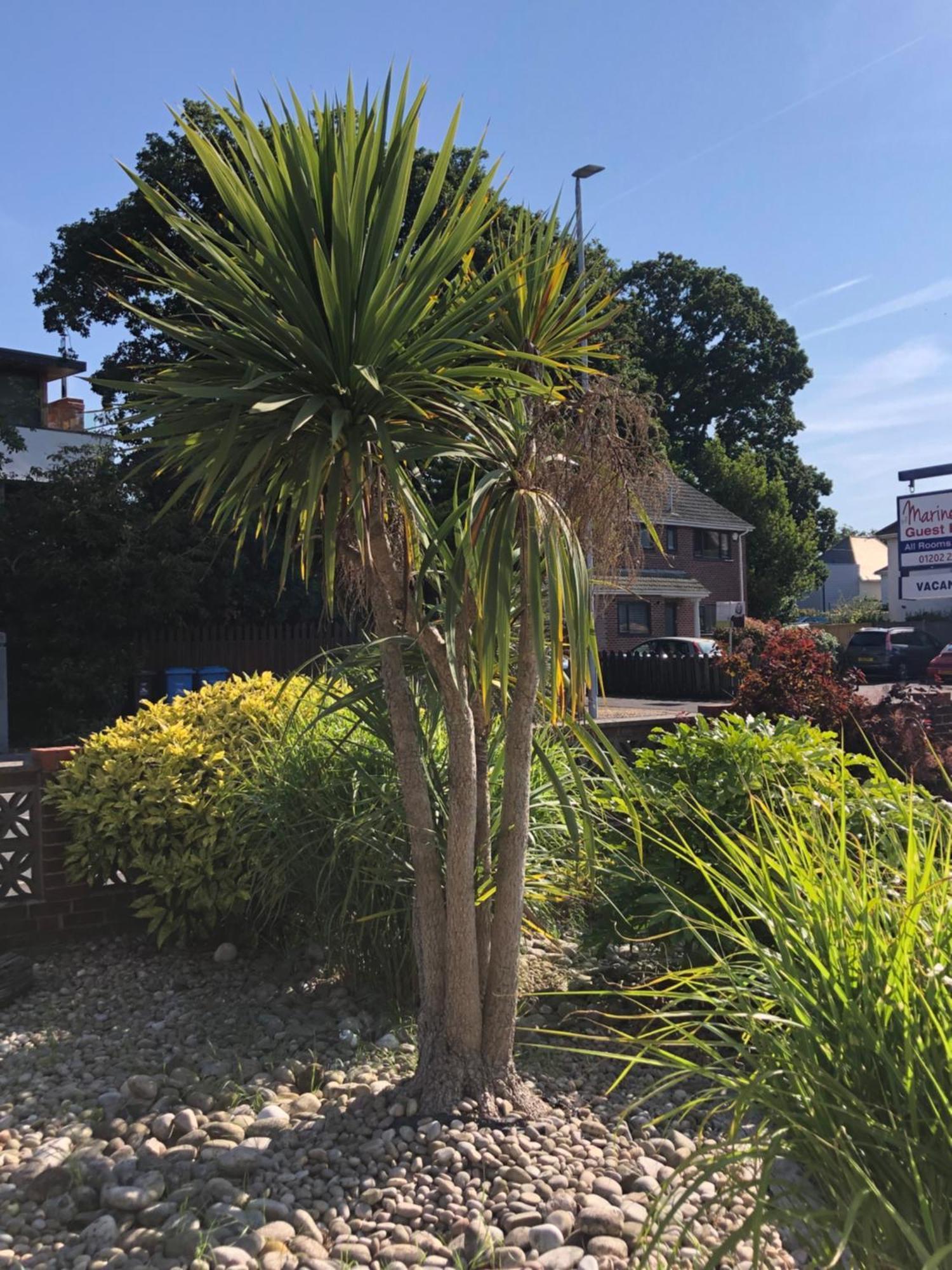 The Mariners Guest House Poole Luaran gambar
